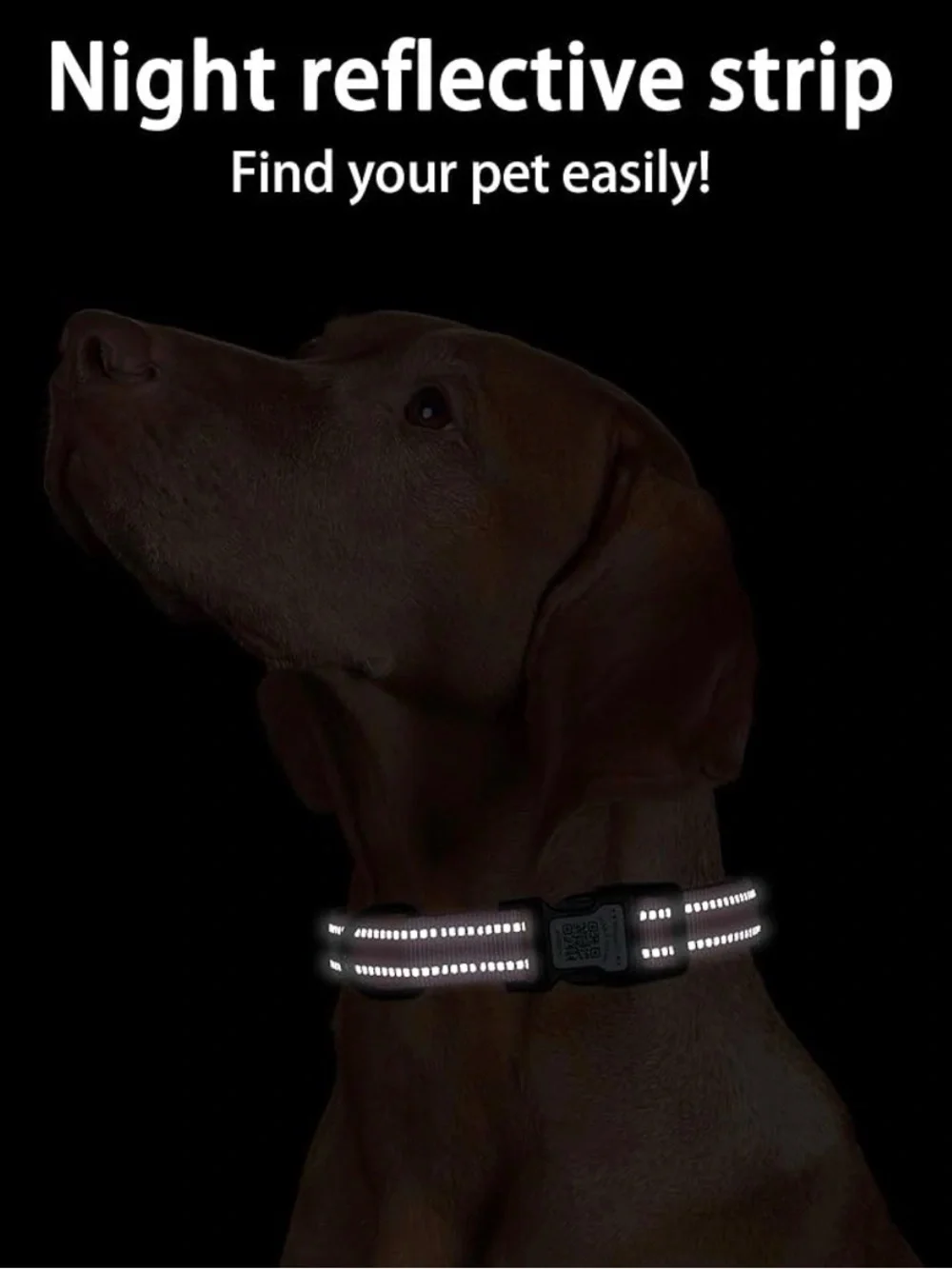 smart QR reflective pet collar XS